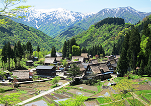 飛騨高山白川郷 | ご紹介エリア | 中部地方インフォメーションプラザin